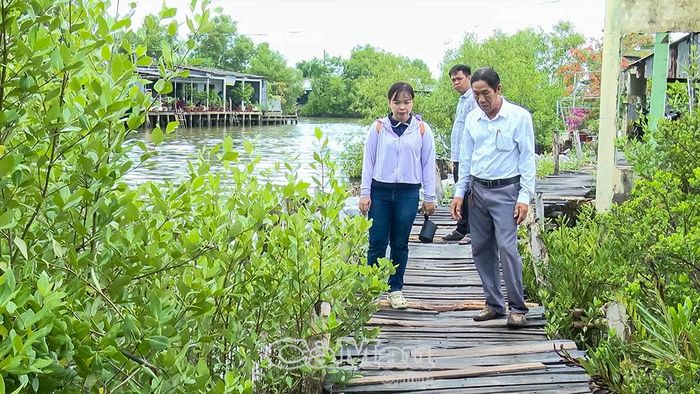 Chiếc cầu gỗ tạm thay cho con lộ rộng 1,5 m ngang qua khu dân cư Hiệp Bình, ấp Thuận Hòa C, xã Tân Thuận, mỗi năm phải sửa chữa nhiều lần do ảnh hưởng triều cường, tiêu tốn hàng chục triệu đồng.