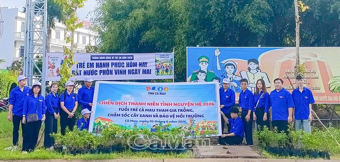 Đoàn viên Phường đoàn Lý Văn Lâm hưởng ứng Chiến dịch Thanh niên tình nguyện hè bằng hoạt động trồng cây xanh.