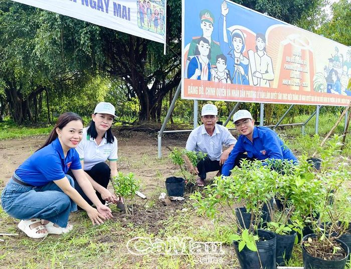 Gần 500 cây quỳnh anh và hoàng yến được trồng trên các tuyến đường trên địa bàn Phường Lý Văn Lâm.