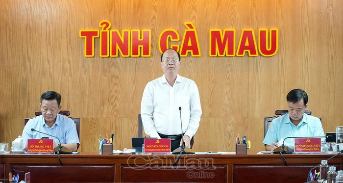 Đồng chí Nguyễn Hồ Hải, Ủy viên Ban Chấp hành Trung ương Đảng, Bí thư Tỉnh ủy, Trưởng đoàn Đại biểu Quốc hội tỉnh, Trưởng Ban Chỉ đạo tỉnh về thực hiện Nghị quyết số 80, phát biểu chỉ đạo.
