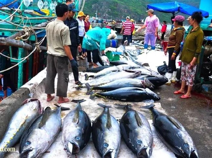 Video đạt giải Nhất "lựa chọn an toàn" đã chia sẻ kiến thức, kinh nghiệm vơi người tiêu dùng cách chọn thực phẩm tươi ngon từ chợ truyền thống đến siêu thị