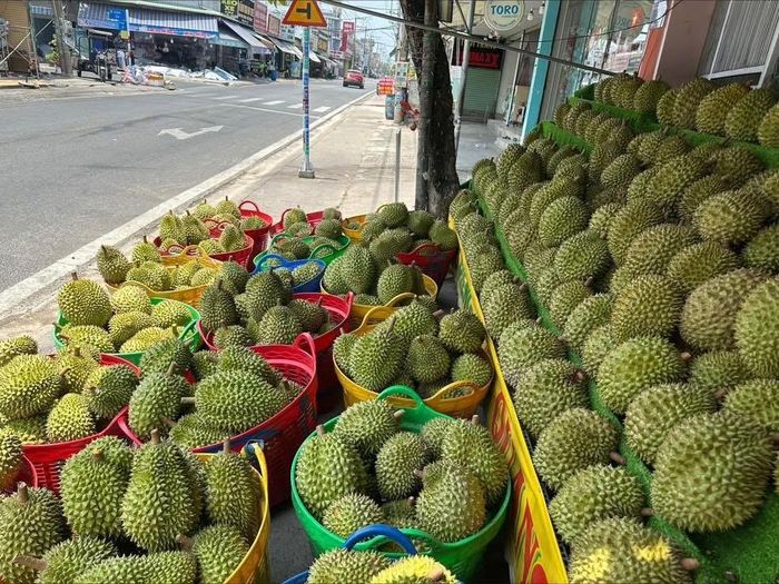 Theo các tiểu thương, sầu riêng phải trên 60.000 đồng/kg mới có thể đảm bảo chất lượng.