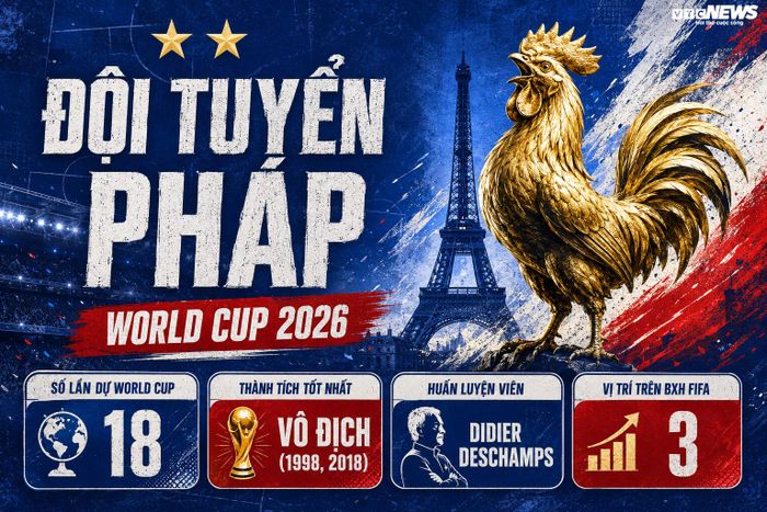 Thông tin đội tuyển Pháp.
