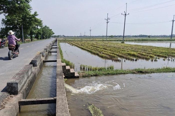 Công tác điều tiết nước được thực hiện kịp thời, tạo thuận lợi cho người dân triển khai sản xuất vụ mùa. Ảnh: PV