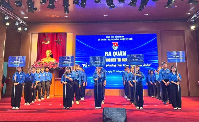 Ra mắt 5 đội hình thanh niên tình nguyện ở các lĩnh vực trọng tâm