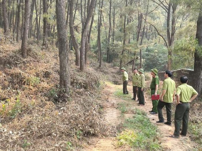 Để chủ động ứng phó, Ban Chỉ đạo yêu cầu các địa phương, lực lượng kiểm lâm, chủ rừng và các đơn vị liên quan tăng cường tuyên truyền, cảnh báo nguy cơ cháy rừng.