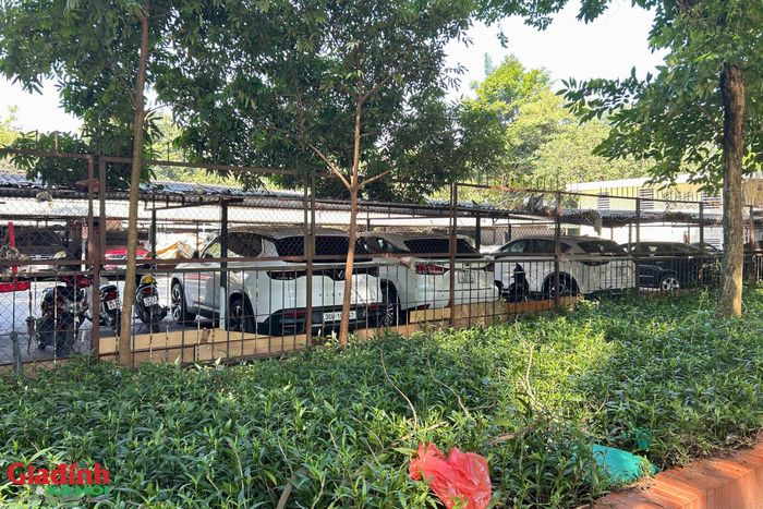 Đối với các điểm có đủ điều kiện, chính quyền hướng dẫn liên hệ Phòng Kinh tế, Hạ tầng và Đô thị để hoàn thiện thủ tục cấp phép tạm thời. Sau thời hạn trên, các trường hợp cố tình chống đối sẽ bị lập hồ sơ xử lý vi phạm hành chính và cưỡng chế giải tỏa nghiêm theo quy định.