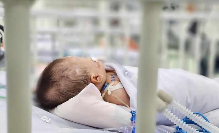 Sốt xuất huyết có khả năng bùng dịch trong năm nay. Ảnh: Nguyễn Thuận.