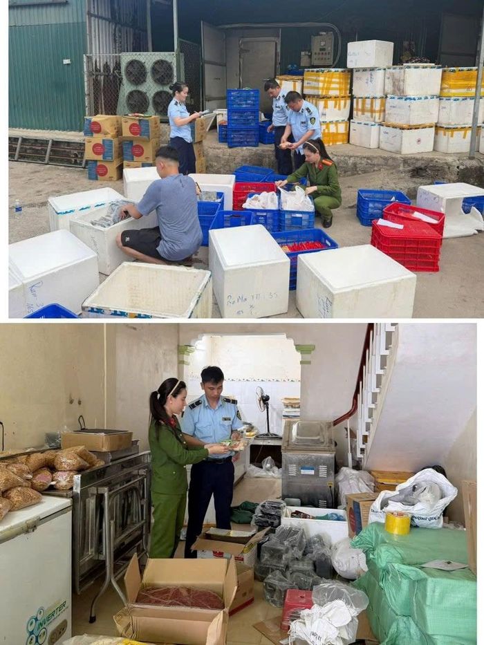 Tang vật vi phạm bị lực lượng chức năng phát hiện, thu giữ. Ảnh: Công an Thanh Hóa