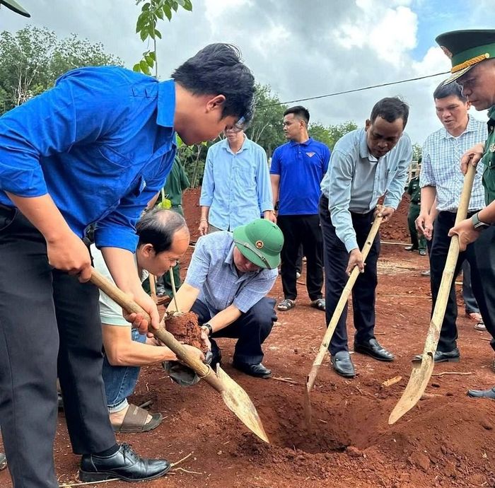 Hơn 200 cây gỗ hương được trồng tại khu vực phía trước Trường Phổ thông Dân tộc nội trú liên cấp Tiểu học và THCS xã Ia O