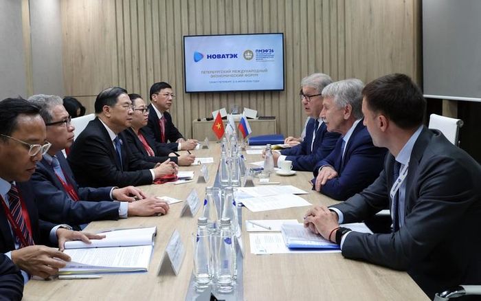 Phó Thủ tướng Thường trực Phạm Gia Túc tiếp Tổng giám đốc công ty Novatek Mikhelson - Ảnh: VGP/Phương Nguyên