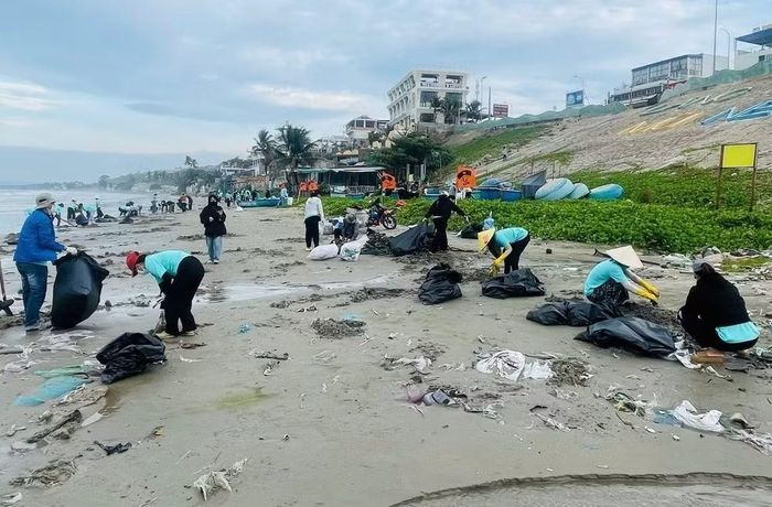 Sau lễ phát động, nhiều hoạt động bên lề sẽ được tổ chức ngay tại khu vực biển Cửa Lò.