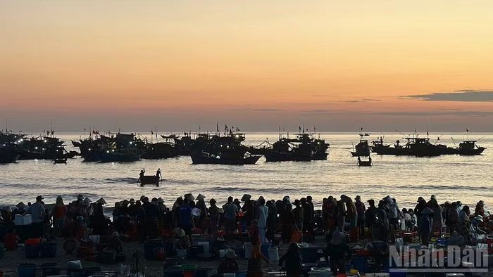 Bình minh trên làng chài Tam Tiến, những con thuyền sau đêm dài bám biển trở về, mở đầu một phiên chợ cá bên bờ biển.