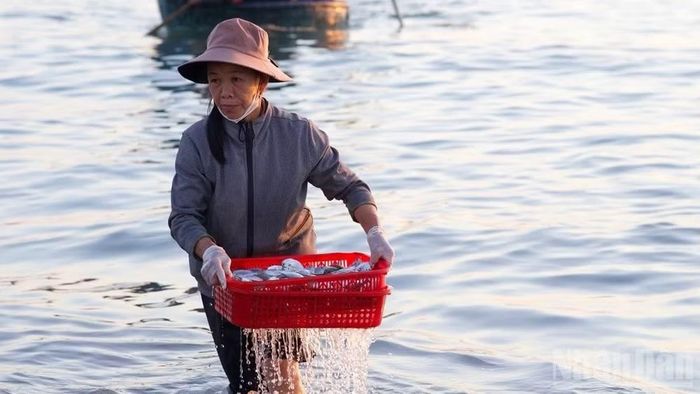 Những người con làng chài, gắn bó cả đời với biển cả. (Ảnh: Làng chài Tam Tiến)