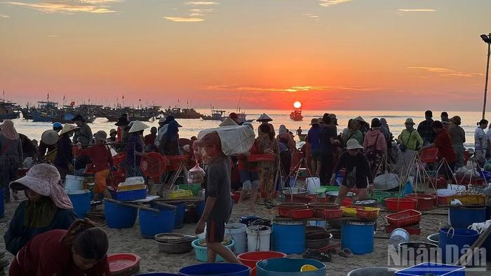 Không khí nhộn nhịp tại chợ cá Tam Tiến lúc rạng sáng, nơi từng mẻ cá được phân loại và chuyển đi tiêu thụ khắp các vùng lân cận.