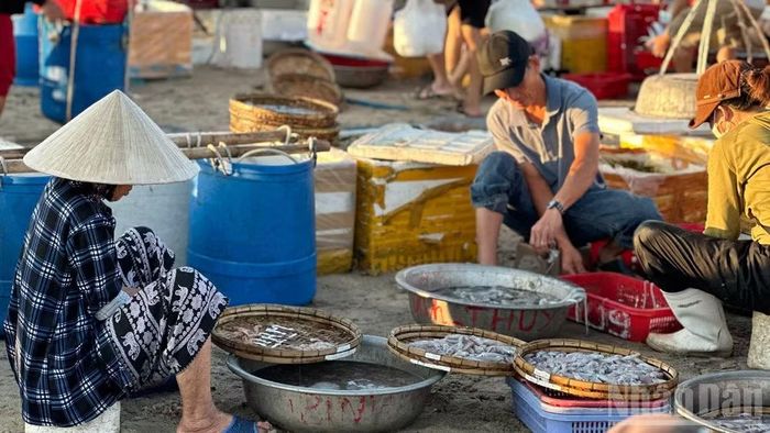 Nhịp sống lao động của làng chài ven biển.