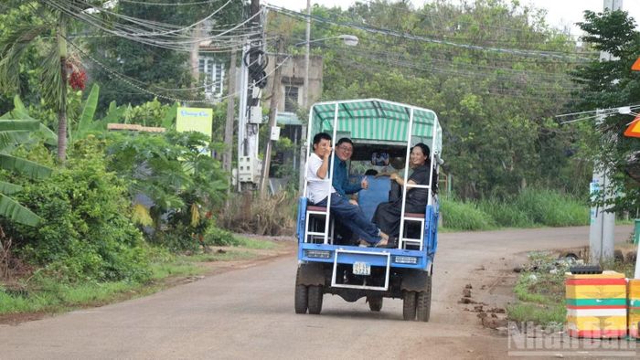 Xe chở du khách vào trải nghiệm tại vườn trái cây.