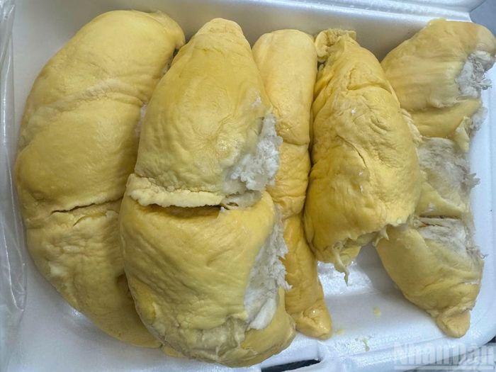 Nhờ chất lượng thơm, ngon sầu riêng Đồng Nai rất được thị trường ưa chuộng.