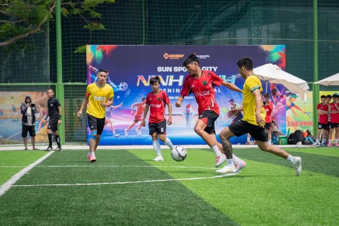 Sun Sports City Ninh đa dạng với 7 bộ môn thể thao.