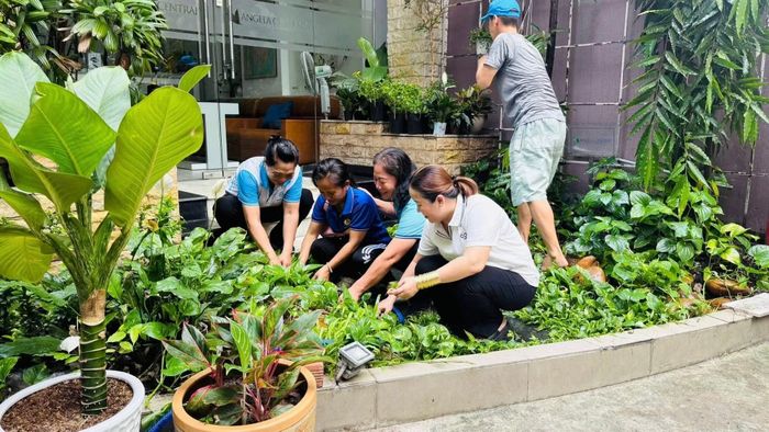 Người dân phường Xuân Hòa chăm sóc cây xanh trong khu vực dân cư.