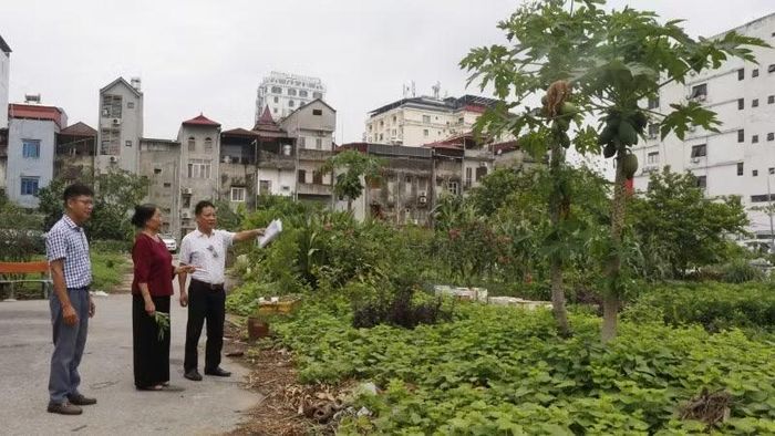 Người dân phấn khởi sau gần 25 năm chờ đợi, đất dự án sẽ được bàn giao.