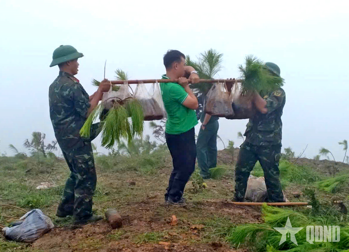 Chiến sĩ Sư đoàn 320 và các lực lượng đưa cây xanh đi trồng.