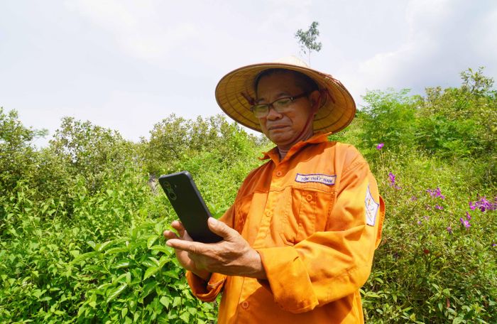  Lão nông Chín Biển tận dụng mạng xã hội và các nền tảng số để cập nhật kiến thức, kinh nghiệm sản xuất nông nghiệp hữu cơ 