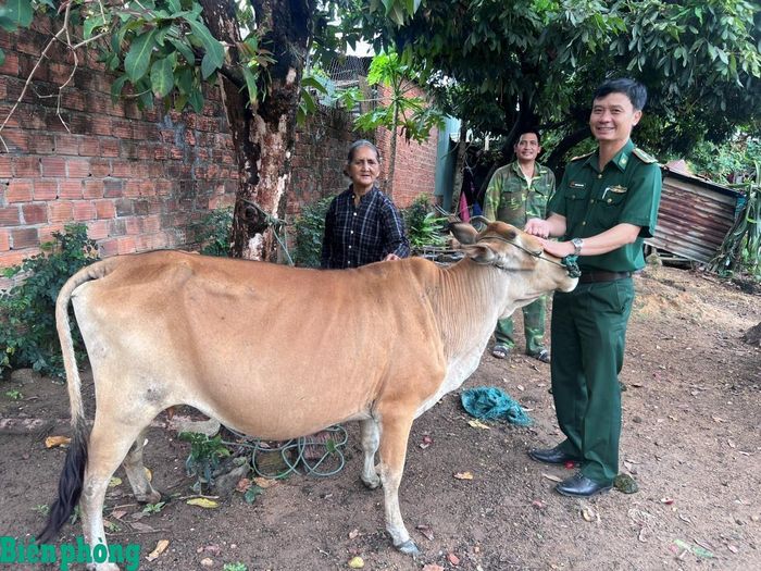 Cán bộ Đồn Biên phòng Dục Nông thăm hỏi, hướng dẫn gia đình bà Y Ngót, thôn Nông Nhầy 2, xã Dục Nông chăm sóc bò cái sinh sản do đơn vị tặng. Ảnh: Đăng Bảy