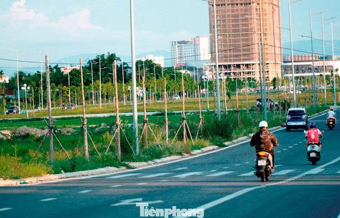  Ghi nhận của phóng viên tại đoạn đường Võ Nguyên Giáp từ phía nam cầu vượt sông Như Ý đến giao lộ Nguyễn Lộ Trạch cho thấy, hàng loạt cây xanh dọc tuyến không còn khả năng sinh trưởng, lá khô héo hoặc đã rụng hoàn toàn. 