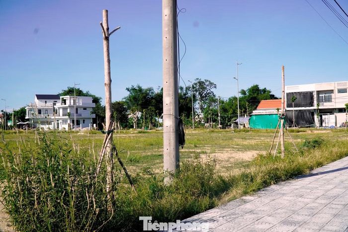  Tình trạng tương tự cũng xuất hiện trên các tuyến đường trung tâm như Tố Hữu, Võ Nguyên Giáp. Đáng chú ý, tại đoạn đường dài khoảng 200 mét cạnh cầu vượt sông Như Ý thuộc phường Vỹ Dạ, nhiều cây xanh mới trồng đã bị khô chết. 