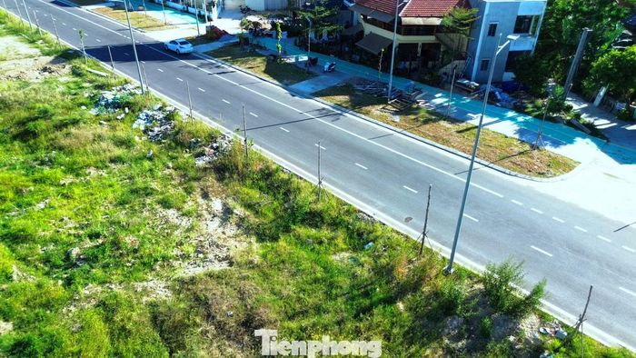 Mặc dù triển khai qua nhiều năm, tại một số hạng mục thuộc dự án, tình trạng cây xanh chết khô, sinh trưởng kém diễn ra khá phổ biến, trong khi việc chăm sóc, bảo dưỡng và thay thế chưa được thực hiện kịp thời và thường xuyên.