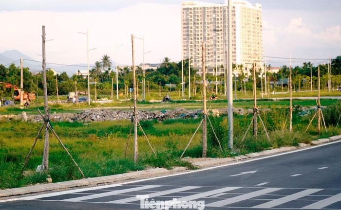 Đối với tuyến đường Võ Nguyên Giáp, dự án đã trồng 994 cây dầu rái. Qua kiểm tra hiện trường, cơ quan chức năng ghi nhận 116 cây bị chết. Ban Quản lý dự án Green City Huế đã yêu cầu nhà thầu thay thế toàn bộ số cây này trước ngày 30/5. Tuy nhiên, theo ghi nhận của phóng viên thời điểm đầu tháng 6, nhiều vị trí cây chết trên tuyến vẫn chưa được thay thế, trồng mới.
