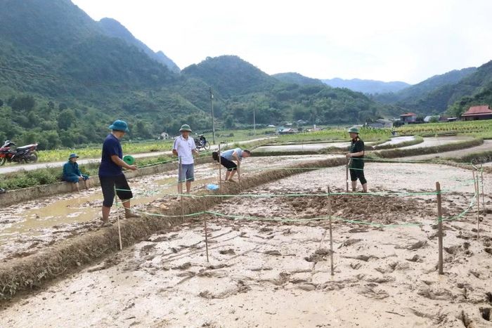 Theo Chủ tịch UBND xã Trường Hà, trước mắt chính quyền tổ chức rào toàn bộ vị trí xung quanh hố sụt lún để tránh người dân hiếu kỳ đến gần gây nguy hiểm. Xã đã báo cáo Sở Nông nghiệp và Môi trường.