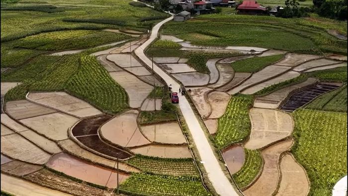 Khoảng 17h ngày 3/6, tại khu vực ruộng của ông Đàm Văn Thắm, xóm Bản Hoong, xã Trường Hà xuất hiện một hố sâu bất thường. Vị trí hố nằm ngay sát đường dân sinh và cách khu dân cư khoảng 200m.