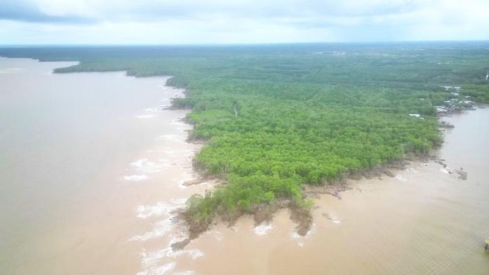 Mỗi năm, Cà Mau mất từ 250-300ha đất và rừng phòng hộ ven biển.