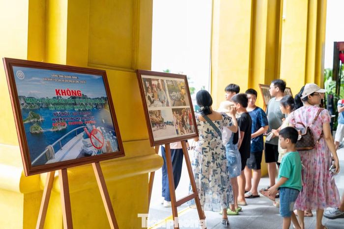 Cũng trong hôm nay, 54/54 cơ sở Đoàn xã, phường, đặc khu đã tích cực phối hợp với chính quyền, các cơ quan, đơn vị tại địa phương thuộc tỉnh Quảng Ninh tổ chức các hoạt động dọn vệ sinh môi trường; đồng thời huy động nguồn lực triển khai các công trình, phần việc, mô hình thanh niên góp sức bảo vệ môi trường, ứng phó với biến đổi khí hậu gắn với Chiến dịch Thanh niên tình nguyện hè năm 2026.