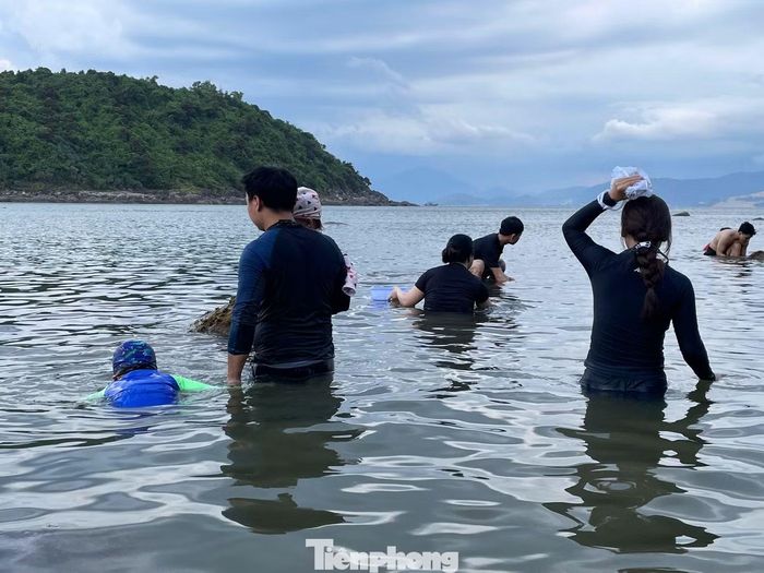 Cùng bố mẹ đi bắt ốc, các em nhỏ có cơ hội tham gia một hoạt động gần gũi với thiên nhiên và cuộc sống vùng biển. Tuy nhiên bố mẹ cần theo sát, nhắc nhở để đảm bảo các con có trải nghiệm an toàn.