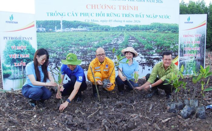 Petrovietnam triển khai chương trình trồng rừng ngập mặn tại Cà Mau, qua đó tiếp tục lan tỏa tinh thần hành động vì môi trường.