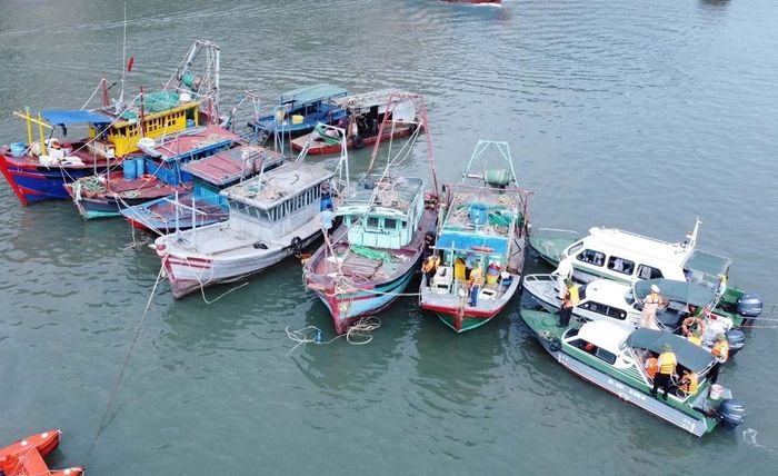 Các lực lượng chức năng tuyên truyền, nhắc nhở phương tiện ven bờ vịnh Hạ Long neo đậu đúng vị trí quy định.