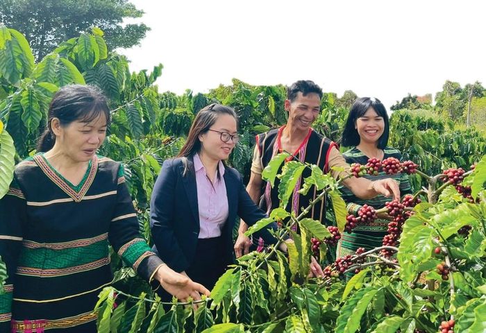 Nguồn vốn tín dụng chính sách xã hội giúp hàng nghìn hộ đồng bào DTTS thoát khỏi nạn "tín dụng đen" trên địa bàn Lâm Đồng. Ảnh MXH