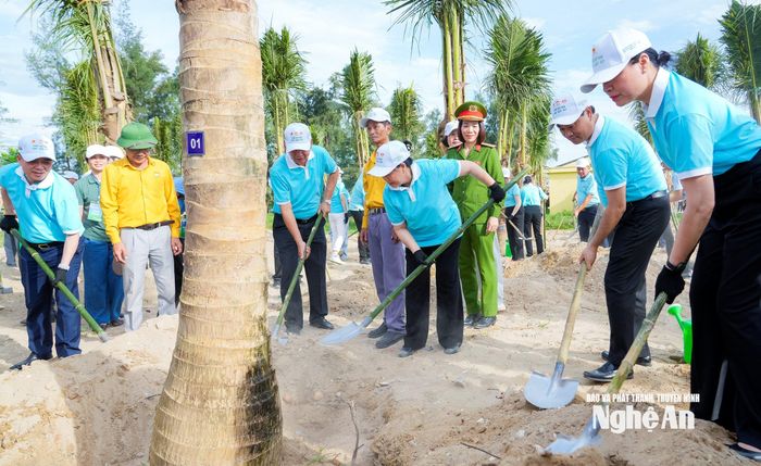 Các đại biểu trồng cây dừa tại công viên ven biển Cửa Lò. Ảnh: Phạm Bằng