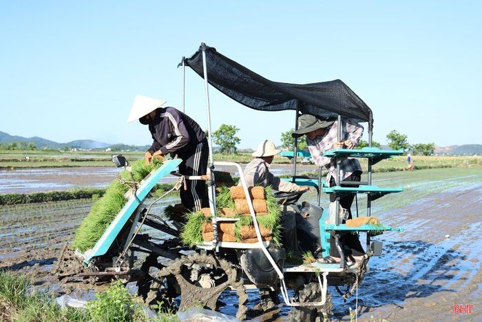 Các địa phương cơ bản hoàn thành gieo cấy vụ hè thu đảm bảo khung lịch thời vụ.