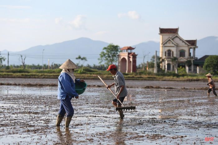 Bà con nông dân nỗ lực bám đồng sản xuất vụ hè thu trong điều kiện thời tiết nắng nóng.