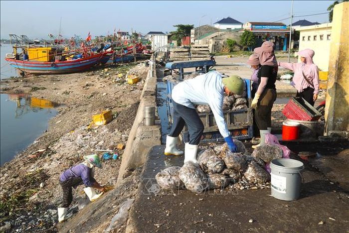 Hoạt động bốc dỡ hải sản tại cảng cá đã phát sinh lượng lớn chất thải, nước thải chưa được xử lý xuống môi trường nước gây ô nhiễm lường tuyến của khu neo đậu Lạch Vạn.