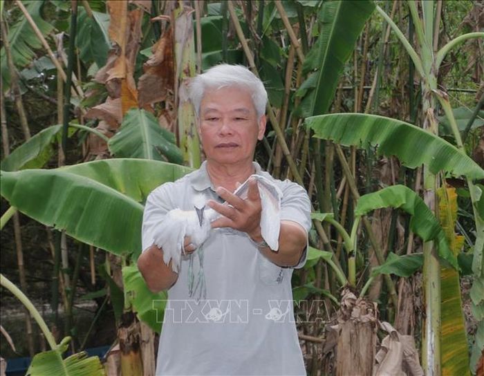 Ông Nguyễn Văn Thiệt luôn xem lũ chim là bạn, lúc nào cũng quan tâm đến sự an nguy của chúng kể cả trong giấc ngủ.