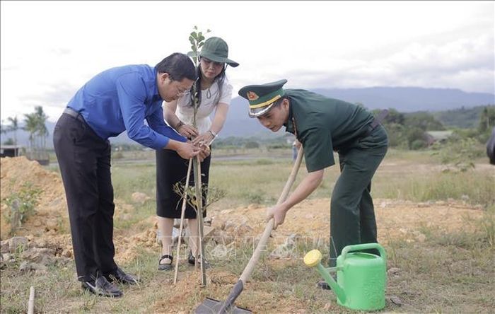 Triển khai trồng cây trong lễ ra quân. Ảnh: Văn Dũng/TTXVN