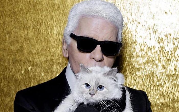 Con mèo Choupette cùng cố giám đốc sáng tạo Chanel Karl Lagerfeld. Ảnh: Telegraph.