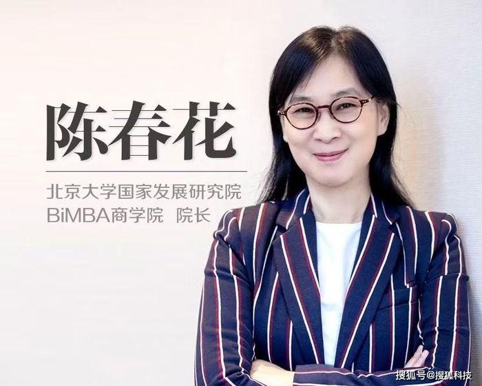 Trần Xuân Hoa. học giả từng được coi là "nữ kiệt" trong giới kinh doanh phải từ chức giáo sư Đại học Bắc Kinh vì xài bằng tiến sĩ của trường "ảo" nước ngoài. Ảnh: Sohu.