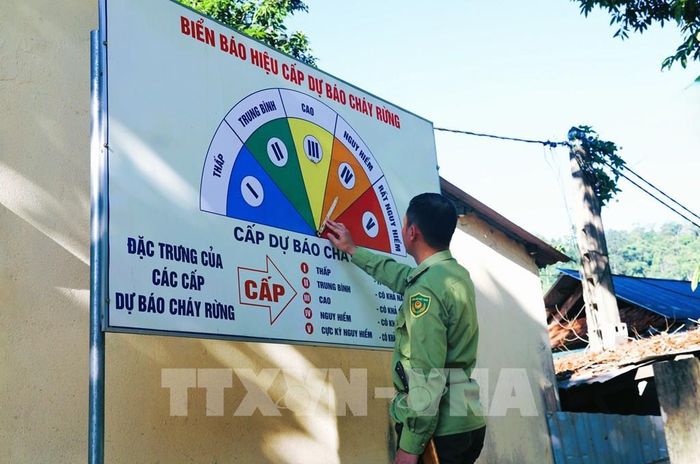 Từ ngày 1/6 đến 7/6, Ban Chỉ đạo công tác quản lý, bảo vệ, phát triển rừng và Phòng cháy, chữa cháy rừng tỉnh Nghệ An đã nâng mức cảnh báo cháy rừng lên Cấp IV - Cấp nguy hiểm trên phạm vi toàn tỉnh. Ảnh: Xuân Tiến - TTXVN