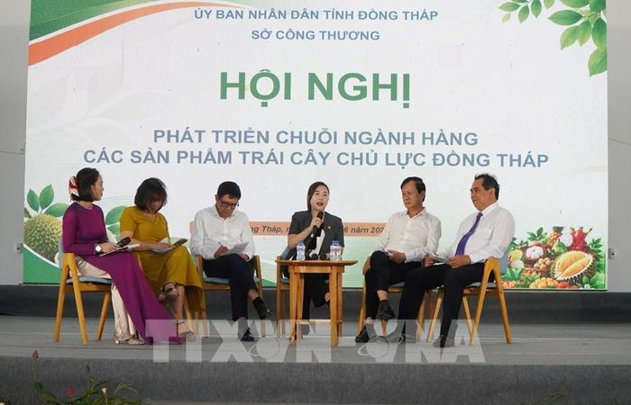 Đại diện hợp tác xã, doanh nghiệp thảo luận, trao đổi về tình hình phát triển ngành hàng trái cây của tỉnh Đồng Tháp. Ảnh: Nhựt An - TTXVN